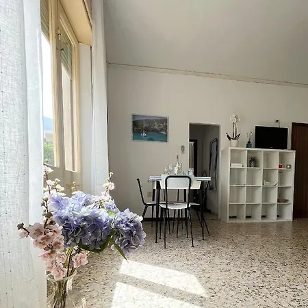 Wine Black Fronte Mare Iun R2882 *