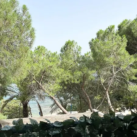 Wine Black Fronte Mare Iun R2882 Cala Gonone